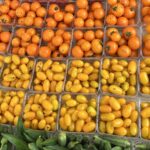 Variety of colorful vegetables